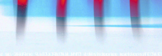 res1078_head_5.jpg